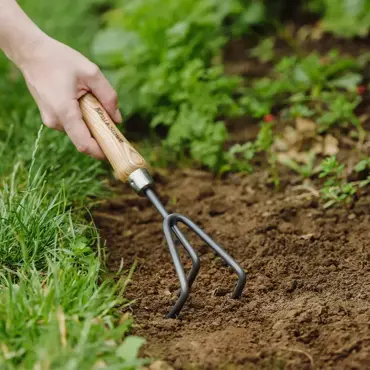 Hand 3 Prong Cultivator Carbon Steel - image 2