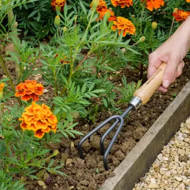 Hand 3 Prong Cultivator Carbon Steel - image 3