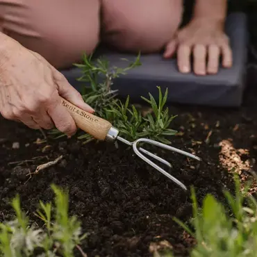 Hand 3 Prong Cultivator Garden Life - image 2