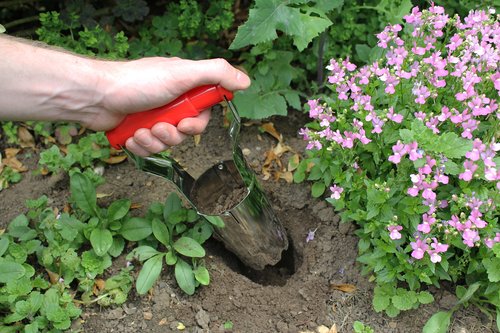 Hand Bulb Planter - image 1