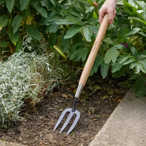 Hand Fork Border Carbon Steel - image 2