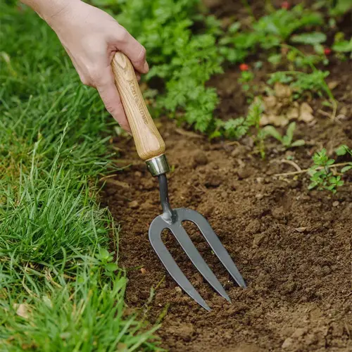 Hand Fork Carbon Steel - image 2