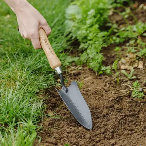 Hand Transplanting Trowel Carbon Steel - image 2