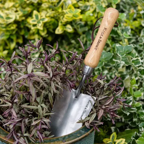 Hand Trowel Stainless Steel - image 2