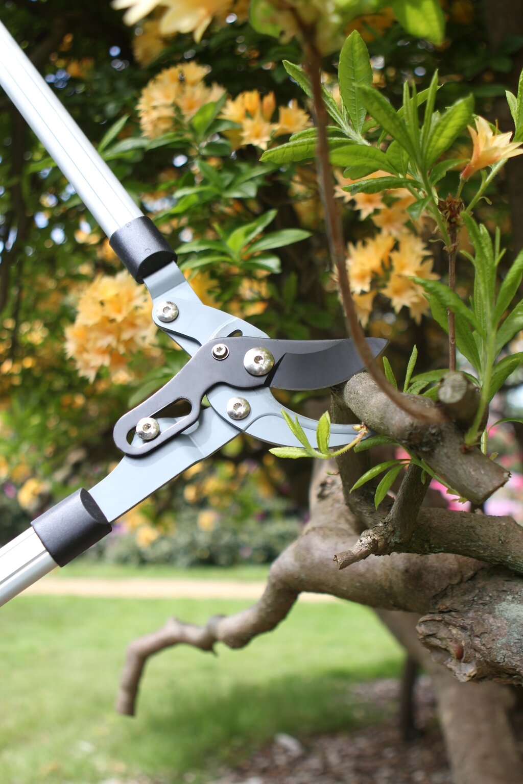 Heavy Duty Compact Bypass Lopper Stewarts Garden Centre