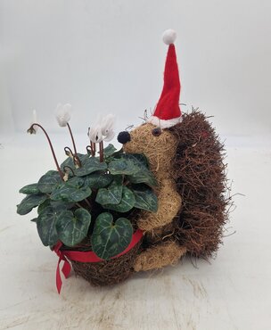 Hedgehog Planter