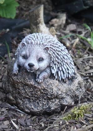 Hedgehog Small - image 1