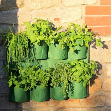 Herb Wall Garden Planter - image 2