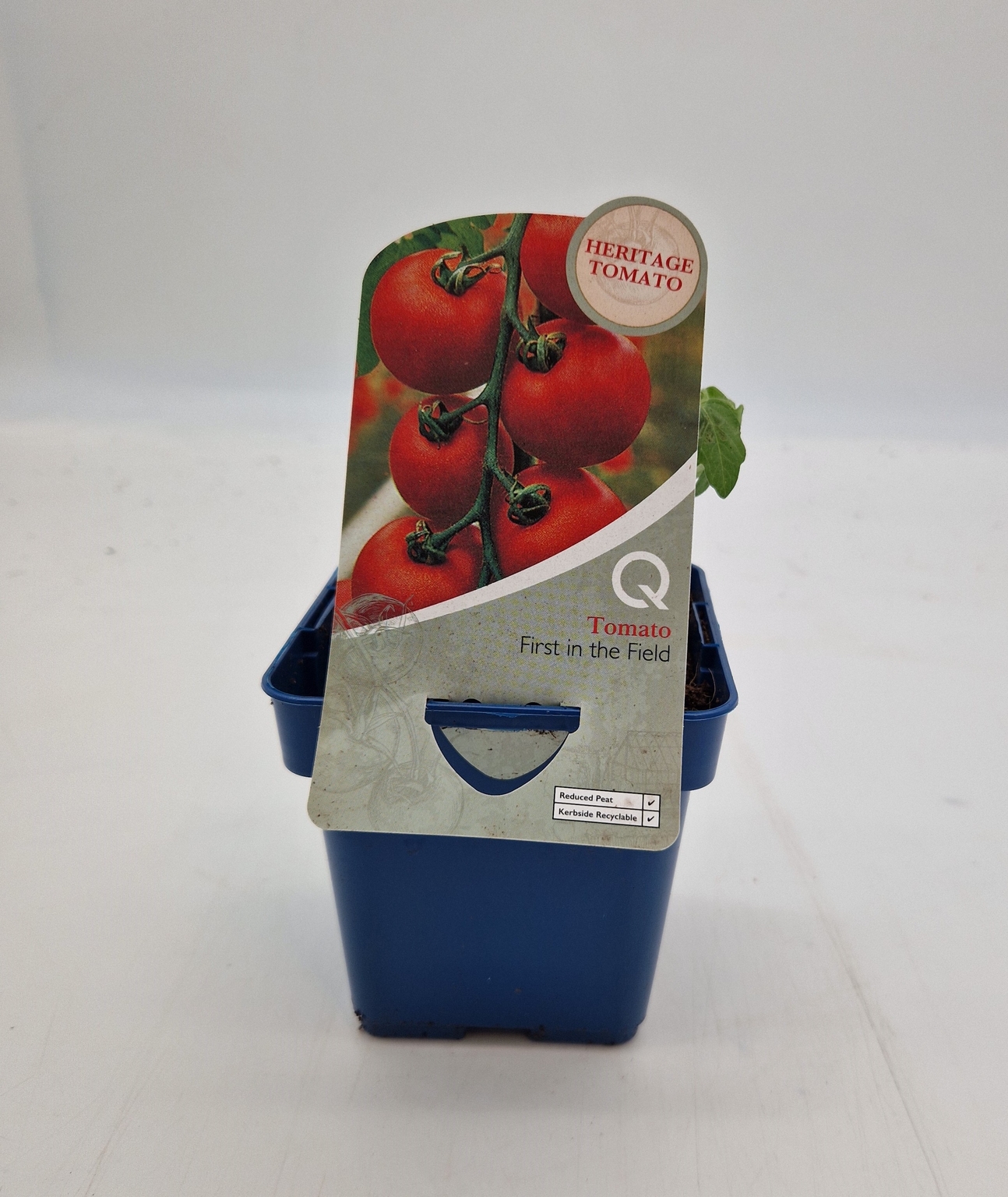Heritage Tomato First In The Field 10cm - Stewarts Garden Centre