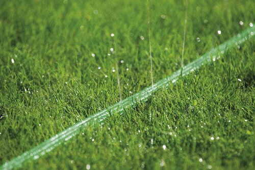 Hose Sprinkler - image 1