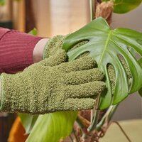 Houseplant Care & Accessories