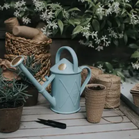 Houseplant Watering