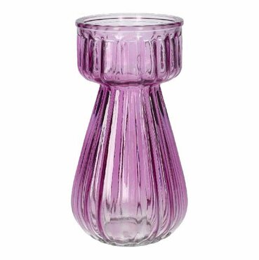 Hyacinth Glass Purple