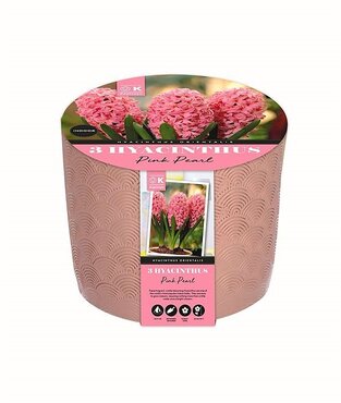 Hyacinth Pink Pearl Ceramic Set