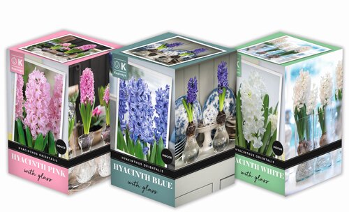 Hyacinth White Glass Set