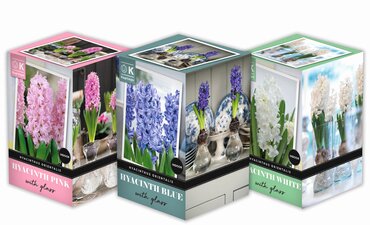 Hyacinth White Glass Set