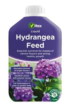 Hydrangea Feed Liquid 1L
