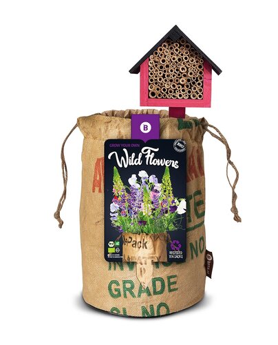Organic Wildflower Seeds with Insect Hotel (Purple)