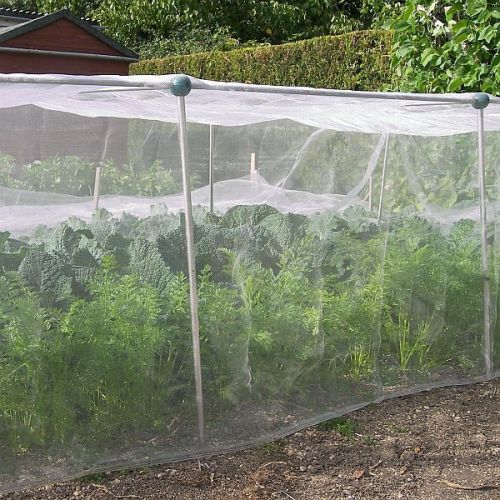 Insect Netting 1.8x3m - image 1