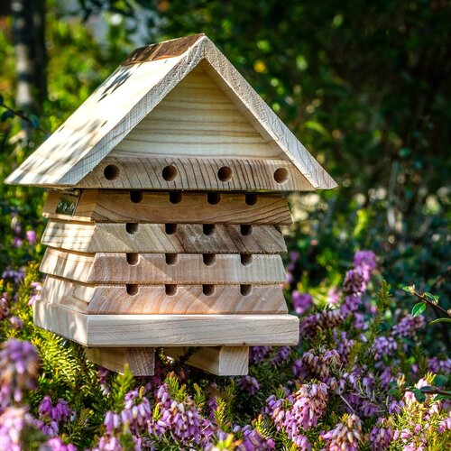 Interactive Solitary Bee Hive Flip Top - image 1