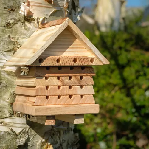 Interactive Solitary Bee Hive Flip Top - image 2