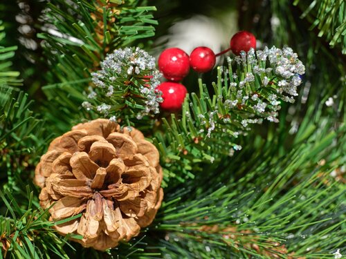 Ipswich Snowy Pine Artificial Christmas Tree (5ft 150cm) - image 2