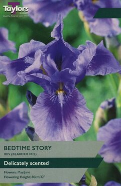 Iris Bedtime Story