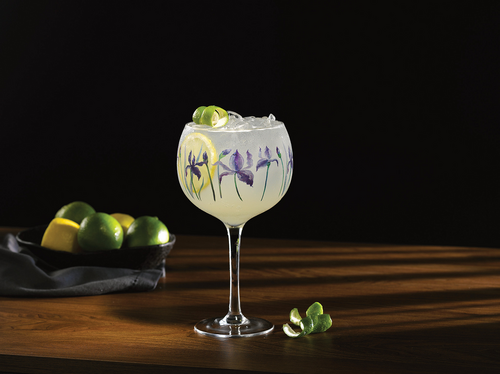 Iris Copa Gin Glass - image 2