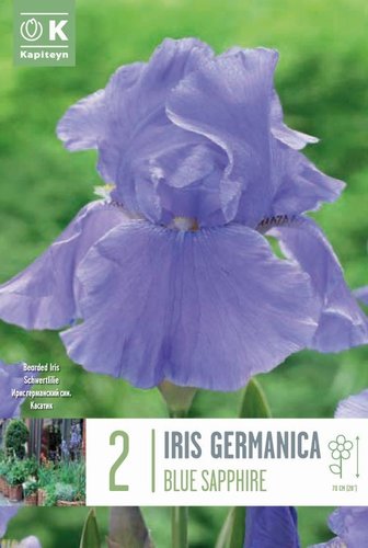 Iris Germanica Blue Sapphire