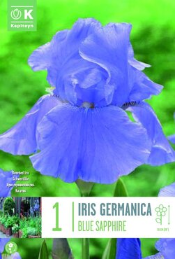 Iris Germanica Blue Sapphire