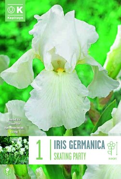Iris Germanica Skating Party
