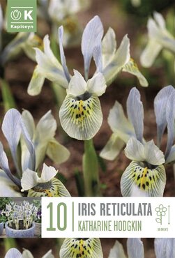 Iris Katharine Hodgkin