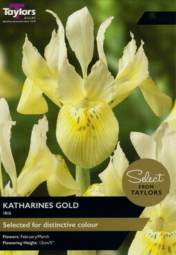 Iris Katharines Gold x 10