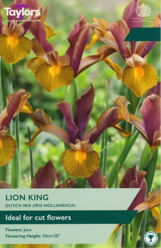 Iris Lion King