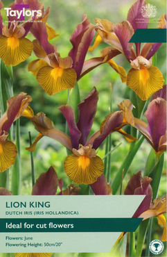 Iris Lion King