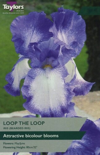 Iris Loop The Loop