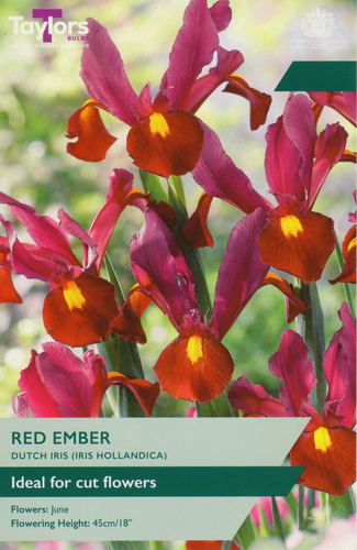 Iris Red Ember