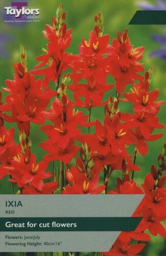 Ixia Red