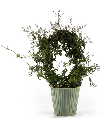 Jasmine Hoop in Hampshire Ceramic 12cm