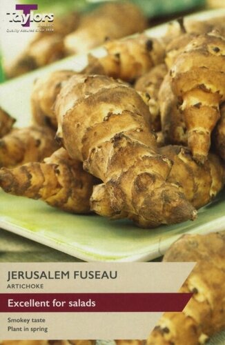 Jerusalem Artichoke