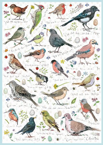 Jigsaw Madeleine Floyd Birdsong 1000pc - image 1