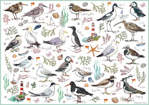 Jigsaw Madeleine Floyd Seabirds 500pc
