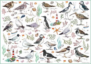 Jigsaw Madeleine Floyd Seabirds 500pc