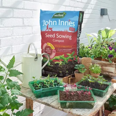 John Innes Seed Peat Free Compost 28L - image 2