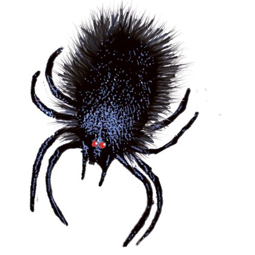 Jumping Spider - image 2