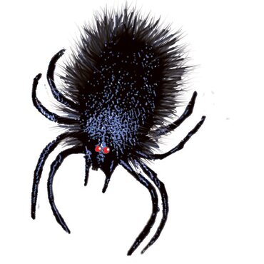 Jumping Spider - image 2