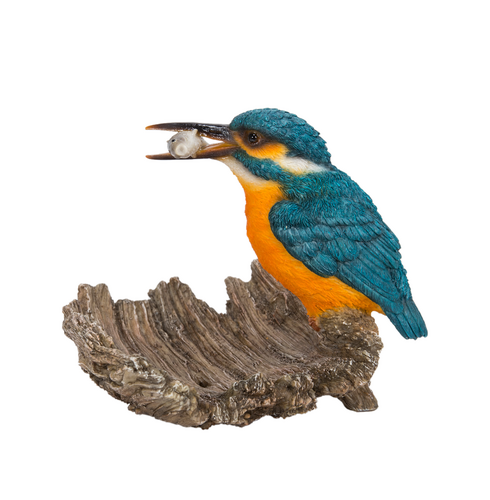 Kingfisher On Driftwood F
