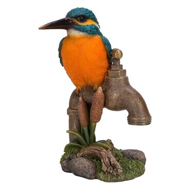 Kingfisher On Garden Tap F