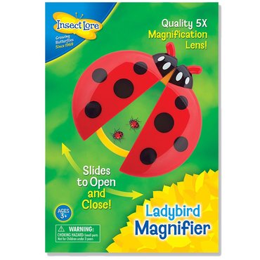Ladybird Magnifier - image 1
