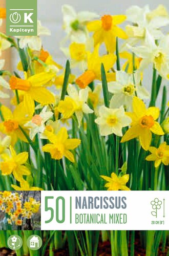 Landscape Bag Narcissus Botanical Mixed Colours